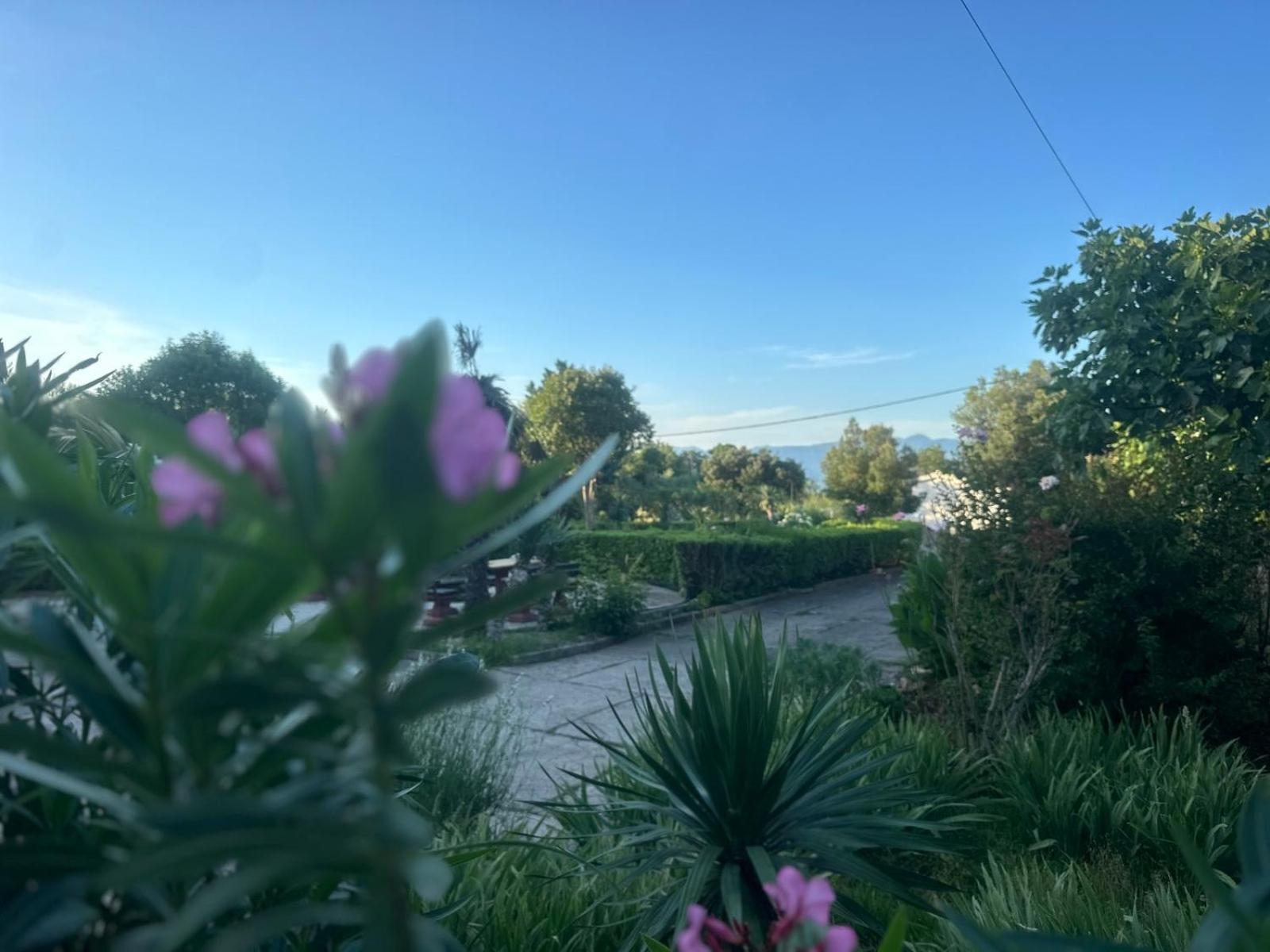 Apartman Kacic Sveti Ivan Dobrinjski Buitenkant foto